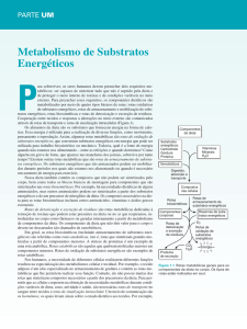 Metabolismo de Substratos Energéticos