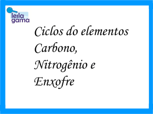 Ciclos do elementos Carbono, Nitrogênio e Enxofre