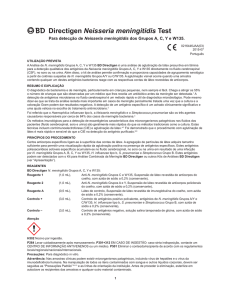 B Directigen Neisseria meningitidis Test