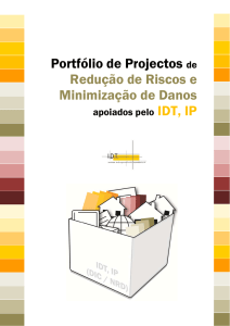 Portfólio de Projectos de Redução de Riscos e Minimização