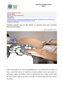 estudo &eacute; o primeiro passo para neutralizar efeitos da microcefalia.