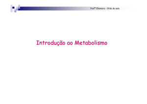 Metabolismo