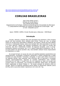 corujas brasileiras - IB-USP