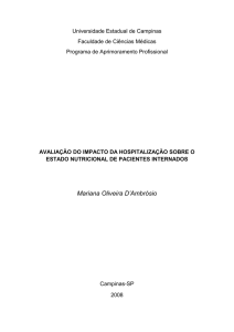 Monografia Mariana1