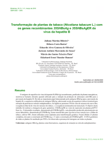 Transformação de plantas de tabaco (Nicotiana tabacum L.)