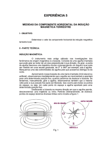 Experimento 5