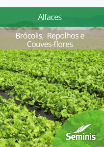 Alfaces Brócolis, Repolhos e Couves