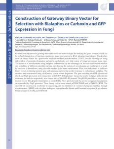 Construction of Gateway Binary Vector for Selection with Bialaphos