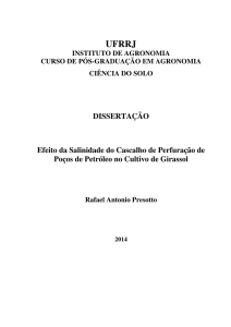 DISSERTAÇÃO Efeito da Salinidade do Cascalho de