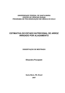 Estimativa do estado nutricional de arroz irrigado por