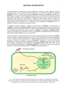 sistema endócrino - Laboratório de Biologia