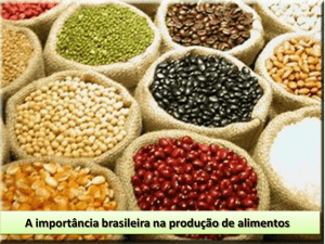 A importância brasileira na produção de alimentos