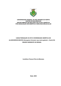 i UNIVERSIDADE FEDERAL DO RIO GRANDE DO NORTE