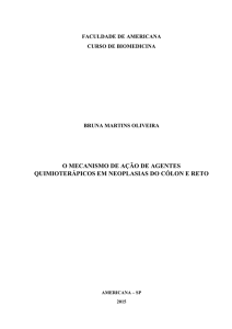 o mecanismo de ação de agentes quimioterápicos