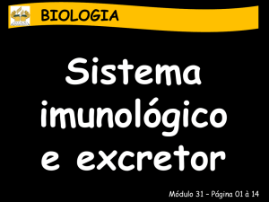 BIOLOGIA Sistema imunológico e excretor