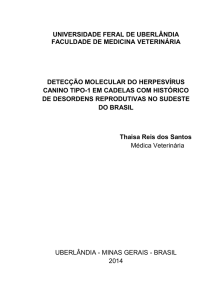 UNIVERSIDADE FERAL DE UBERLÂNDIA FACULDADE DE