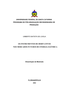 Dissertação de Mestrado - UFSC