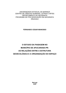o estudo da paisagem no município de apucarana-pr