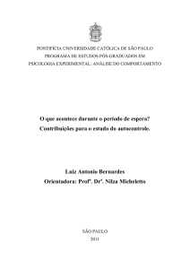 Luiz Antonio Bernardes - Biblioteca Digital - PUC-SP