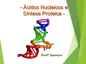 CITOGENÉTICA_-_síntese_proteica