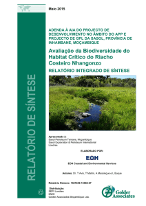 Draft Relatório Integrado de Síntese do Habitat