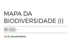 Guia do Professor