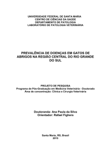 prevalência de doenças em gatos de abrigos na