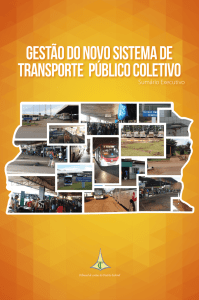 gestão do novo sistema de transporte público coletivo