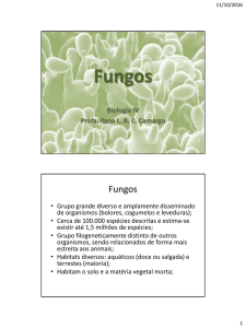 Fungos - Laboratório de Biologia