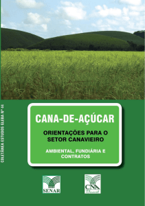 Cana-de-açúcar: orientações para o setor canavieiro. Ambiental