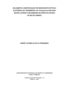 ISOLAMENTO E IDENTIFICAÇÃO POR MICROSCOPIA