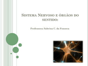 Sistema Nervoso e órgãos do sentido