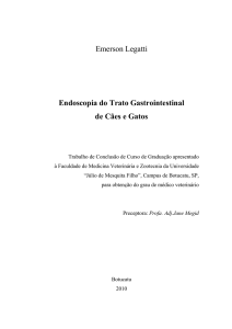 Emerson Legatti Endoscopia do Trato Gastrointestinal de Cães e