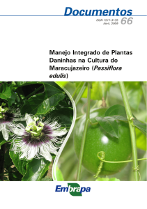 Manejo Integrado de Plantas Daninhas na Cultura do