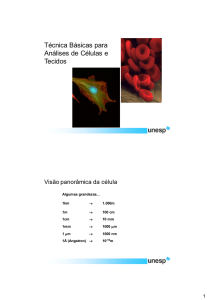 2 Técnicas básicas em Biologia Celular - IBB