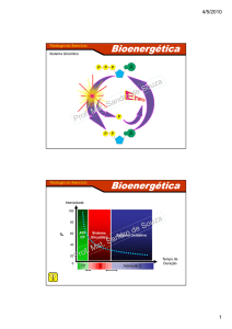 Sistema Glicolítico - Prof. Sandro de Souza