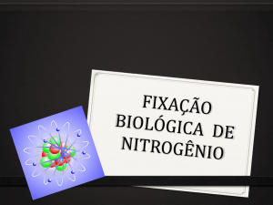 fixação biológica de nitrogênio