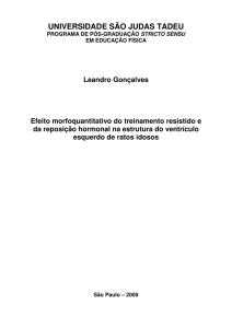 PDF - Universidade São Judas Tadeu