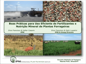 N - IPNI - Brasil - International Plant Nutrition Institute