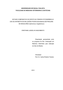 Estudo comparativo do efeito da terapia fotodinâmica e uso de