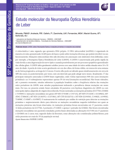 Estudo molecular da Neuropatia Óptica Hereditária de Leber 55º