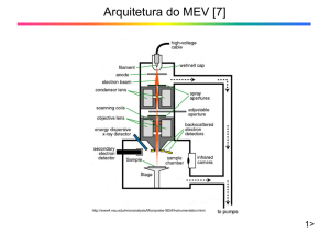 Arquitetura do MEV - Feis