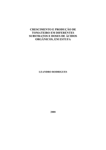crescimento e produção de tomateiro em diferentes