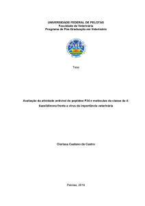 Avaliação da atividade antiviral do peptídeo P34 e moléculas da