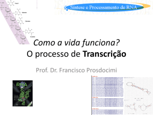 Como a vida funciona? O processo de Transcrição