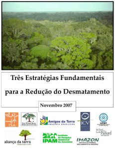 Três Estratégias Fundamentais para a Redução do Desmatamento