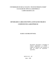 DENSIDADES E ARRANJOS POPULACIONAIS DE MILHO E