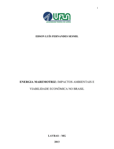 ENERGIA MAREMOTRIZ: IMPACTOS AMBIENTAIS E VIABILIDADE