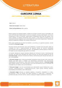 Cúrcuma Longa - Pharma Nostra