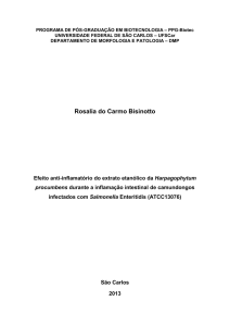 Rosalia do Carmo Bisinotto